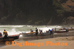 Surf 
                  
 
 
 
 
 Boats     Piha     09     8816